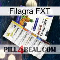 Filagra FXT 11